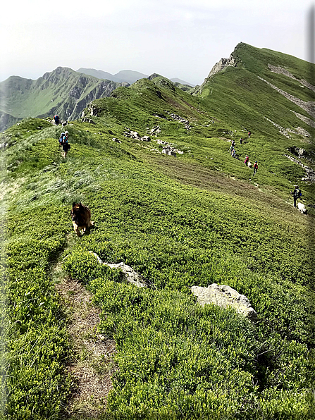 foto Parco dei Cento Laghi